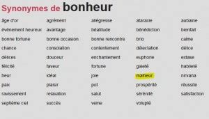 synonyme de chance.